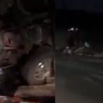  - La Voz De La Experiencia